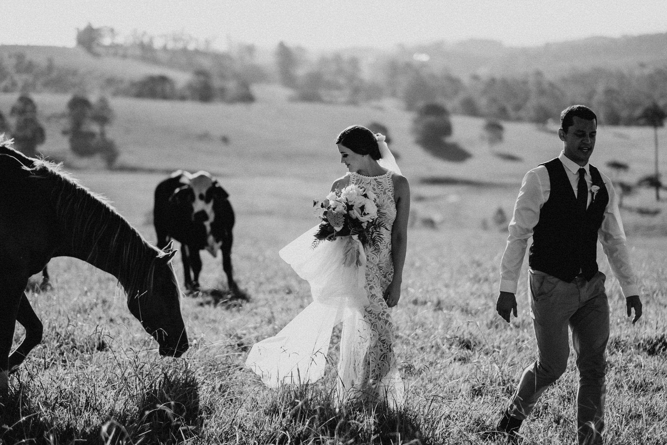 Bride and groom walking in the hills of Forget me Not farm near Byron Bay. The bride looks stunning in Grace Loves Lace wedding gown. The bride looks back over her shoulder smiling at a friendly horse that is following them.