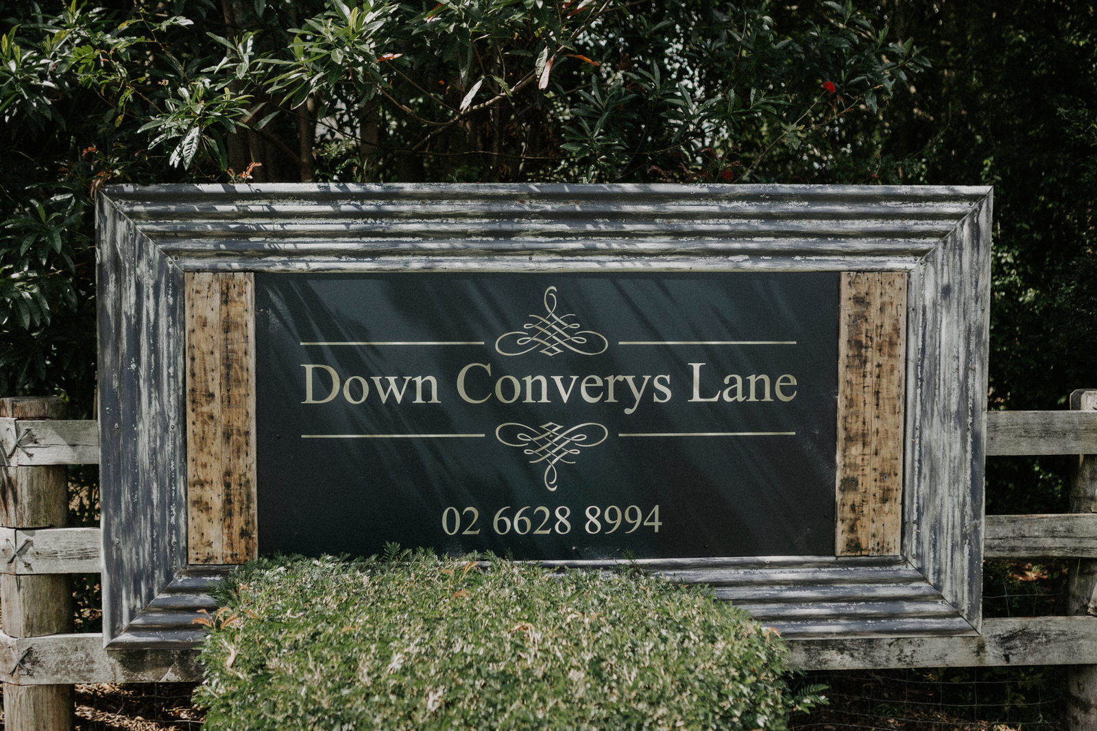 Down Converys Lane Wedding 0041