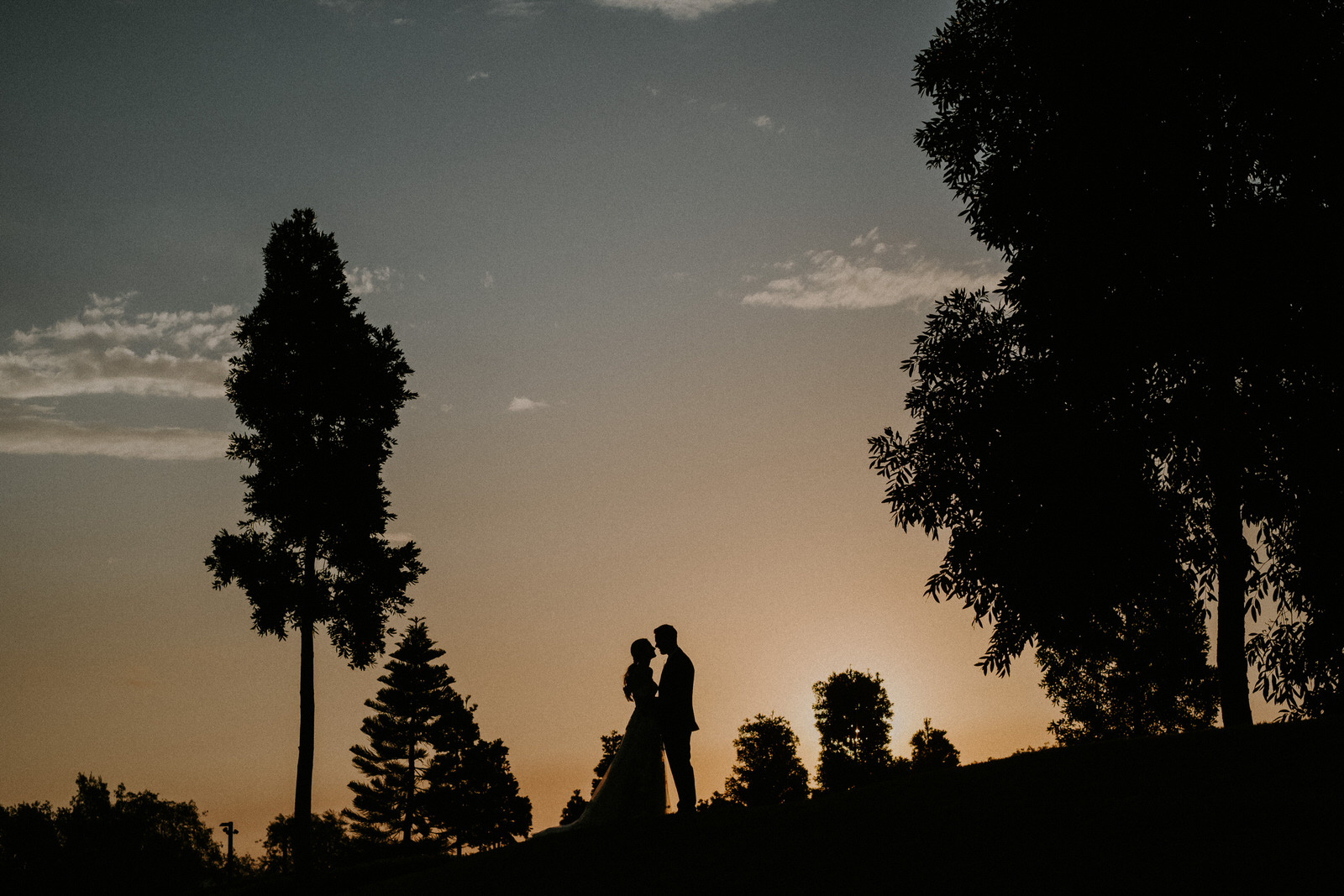 Bride and Groom silhoetted on hill. The couples heads are touching, surrounded by trees with the sun setting over the Gold Coast