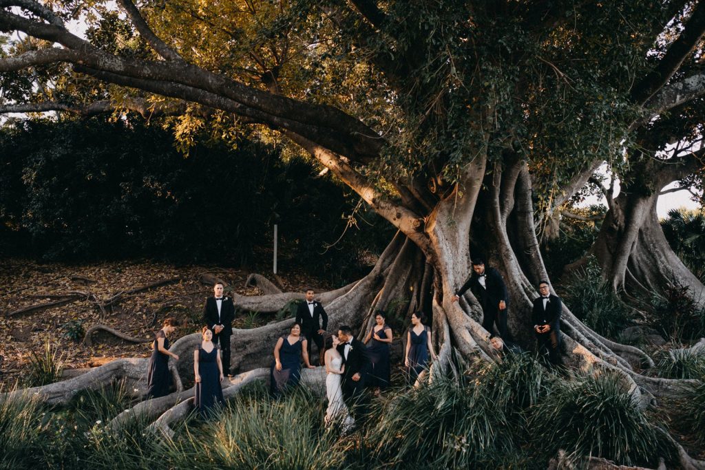 Gold Coast Wedding Photographer with wedding party posing under massive fig tree at Royal Pines Resort.