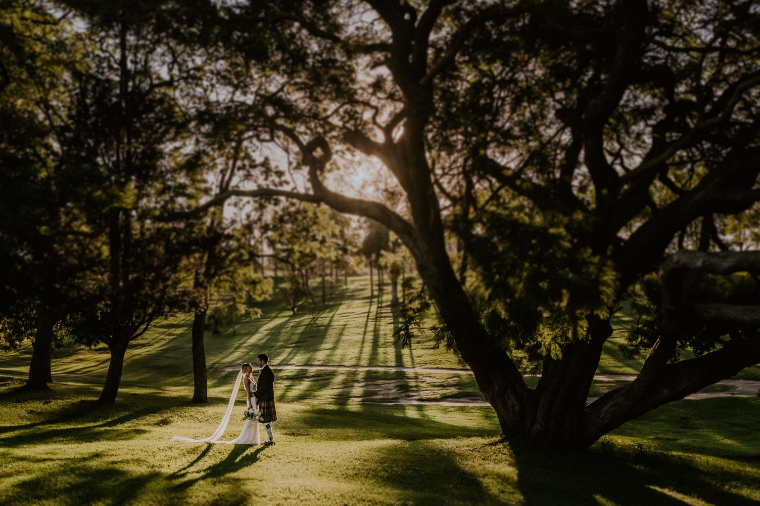 Sunset wedding at Victoria Park in Brisbane. Bride and groom standing under a a large jacaranda tree with rays of light coming through the trees