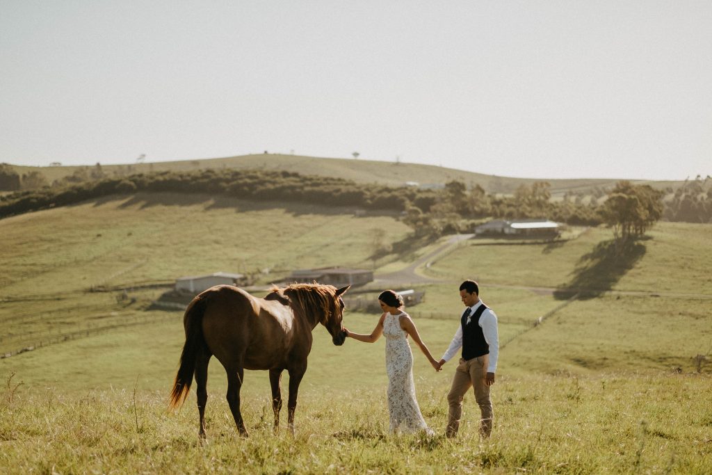 Byron Bay Wedding photographer, bride and groom holding hands patting a horse in an open field on their wedding day.
